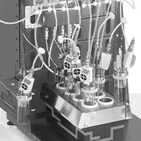 The use of a H.E.L BioXplorer in fermentations of Cupriavidus necator H16 at elevated pressure using CO2 as the sole carbon source