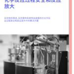 Process Safety and Scale-Up Mandarin Brochure
