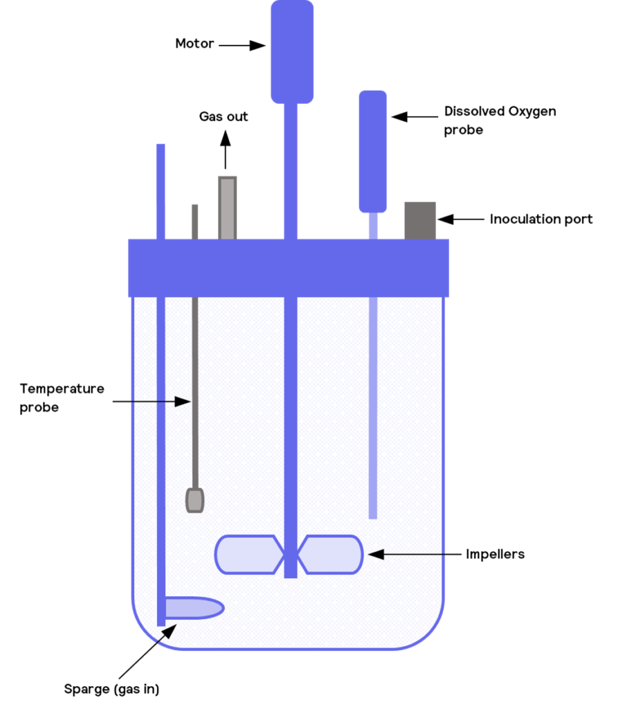 Stirred tank bioreactor line drawing