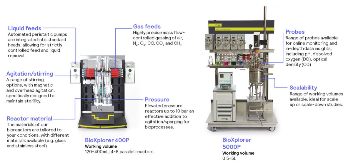 BioXplorer Features