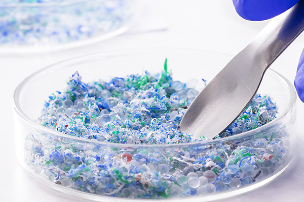 petri dish with crystals in