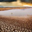 Desert Scape