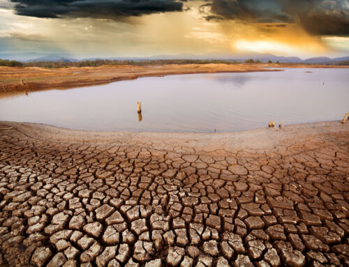 How can we feed the world and fight global warming? With microbes!