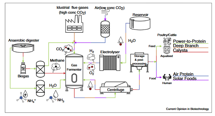 Image from Science Direct Publication