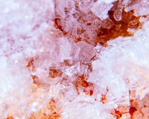 Seeded Crystallization