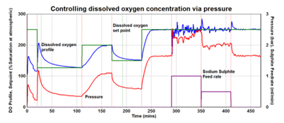 Figure 5. Control of dissolved oxygen via pressure over time using an automatically controlled BPR. Oxygen concentration increases stepwise with pressure showing clear correlation between pressure and oxygen transfer rate.