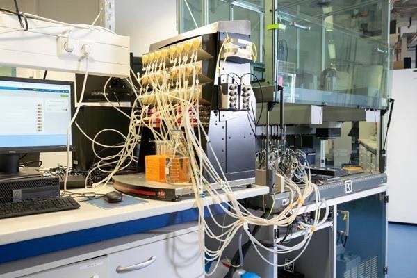 The BioXplorer 100 bioreactor platform with feed lines at TU Berlin’s KIWI-biolab