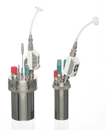 Stainless steel high-pressure reactors for the P series