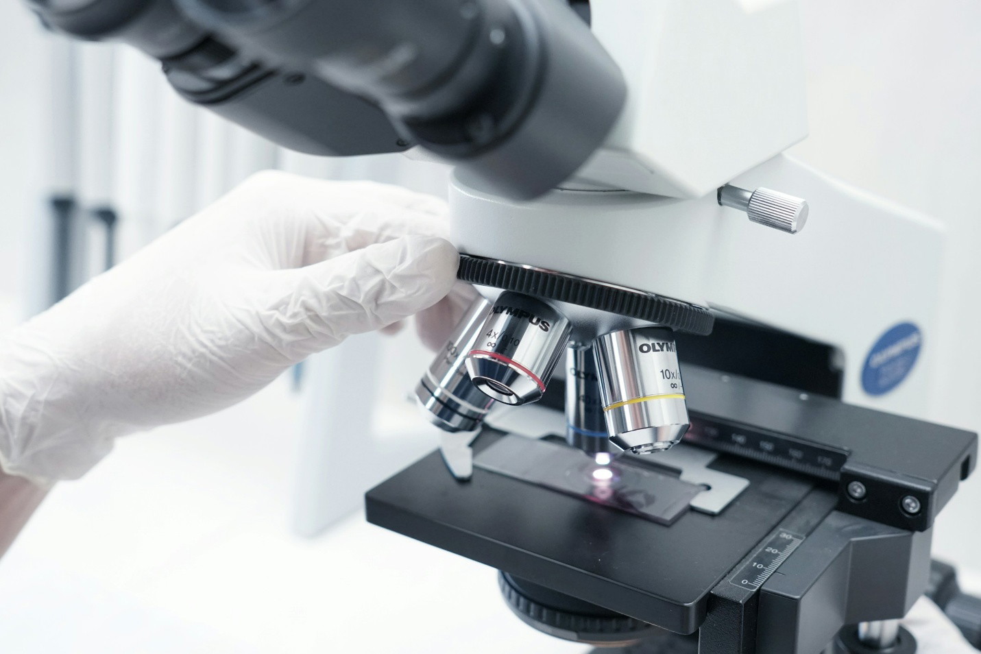 Researcher characterizing an engineered microbial strain in the laboratory