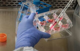 Gloved hand holding a multi-well culture plate in a laboratory biosafety cabinet
