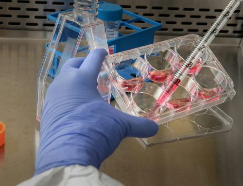 Beyond Cultivated Meat: Engineering Better Proteins Through Precision Fermentation